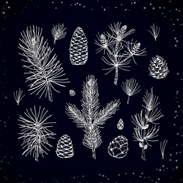 Set of coniferous plant decor elements in sketch style isolated on dark blue background. Vector illustration of fir, pine, larch branches and cones for Christmas and New Year decoration - Vector, Image
