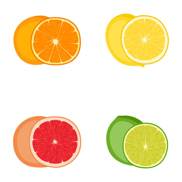 Set of citrus fruits (orange, lemon, grapefruit, lime), vector illustration - Vector, Image