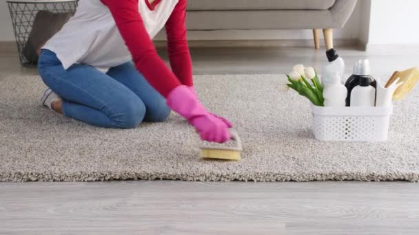 Frau putzt Teppich zu Hause - Filmmaterial, Video