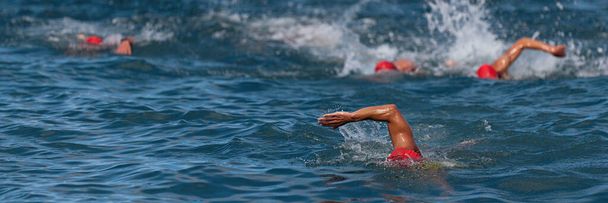 Bir grup yüzücü yarışlarda denizde yüzer, açık deniz sporu yapar. - Fotoğraf, Görsel