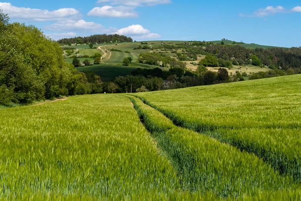 Mezőgazdaság és mezőgazdasági terület gabonafélékkel - Fotó, kép