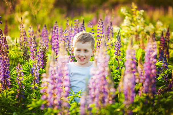 Porträt eines lächelnden Kindes in einem blühenden Lupinenfeld bei Sonnenuntergang. Ein sonniger Abend im späten Frühling. Lupinenblüten wie eine Quelle für Honig. Kinder haben während der Blütezeit Allergien. - Foto, Bild