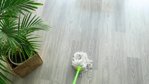 Úklid podlahy doma, výhled shora - Záběry, video