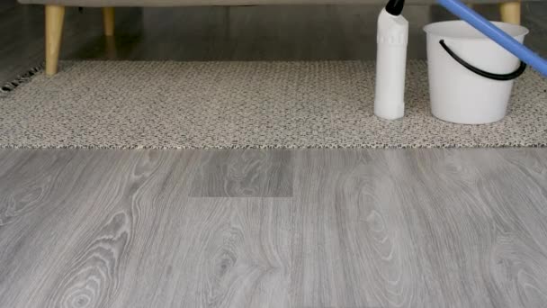Mopping of floor at home - Footage, Video
