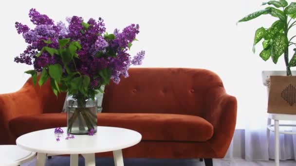 Vaso com belas flores lilás na mesa no quarto
 - Filmagem, Vídeo