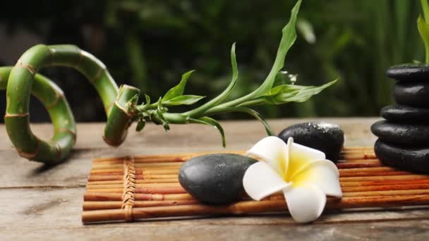 Kamienie zen, piękny kwiat i bambus na stole - Materiał filmowy, wideo