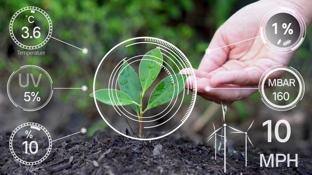 Intelligente digitale Landwirtschaftstechnologie durch futuristisches Sensor-Datenerfassungsmanagement durch künstliche Intelligenz, um die Qualität von Pflanzenwachstum und Ernte zu kontrollieren. Computergestütztes Plantagenanbaukonzept. - Foto, Bild