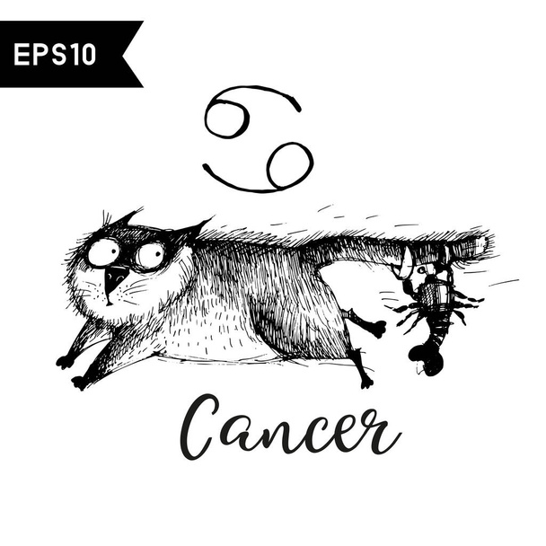 Cancer cat. Zodiac funny cat. Sketch illustration.  - Vektör, Görsel