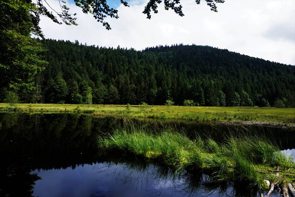 Ліспахське озеро в Ла - Брессі (Франція), оточене пагорбами і деревами. - Фото, зображення