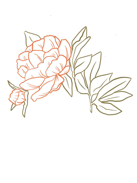 modern illustration, flower isolated on white background - Fotó, kép