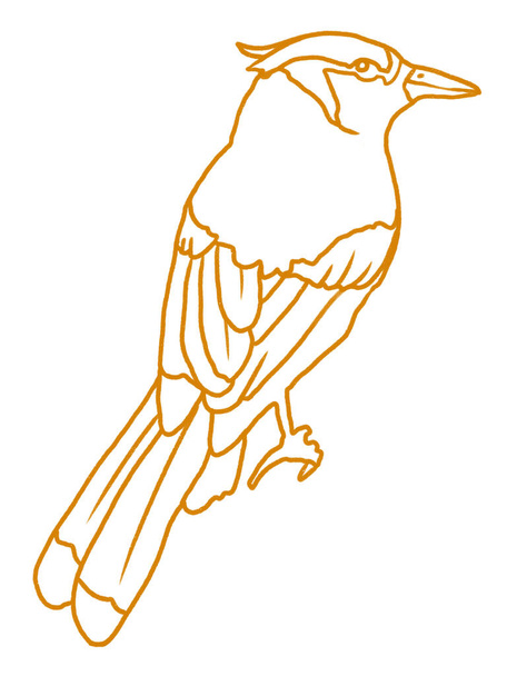 modern illustration of bird on white background - Фото, изображение