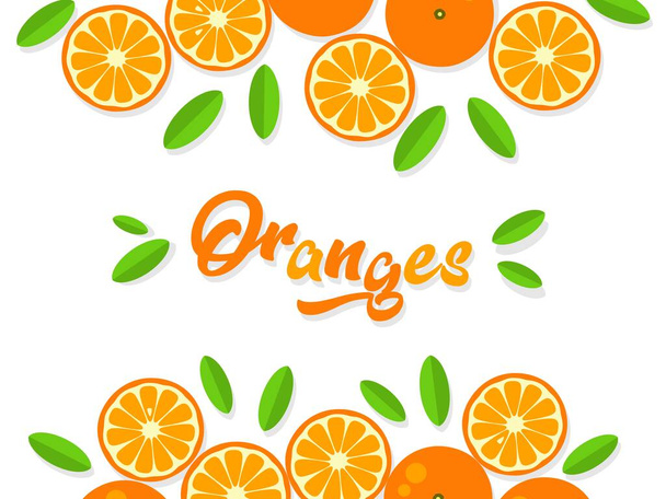 Orange background. Orange tangerine grapefruit lemon lime on a white background. Vector illustration of summer fruits and citrus. Citrus icons and silhouettes. Cute painted oranges. Tropical fruits - Vector, imagen