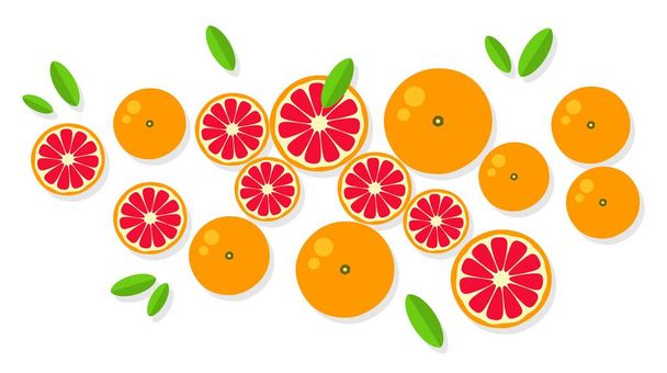 Grapefruit background. Orange tangerine grapefruit lemon lime on a white background. Vector illustration of summer fruits and citrus. Citrus icons silhouettes. Cute painted grapefruits. Tropical fruit - Vector, Imagen