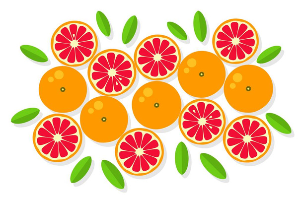 Grapefruit background. Orange tangerine grapefruit lemon lime on a white background. Vector illustration of summer fruits and citrus. Citrus icons silhouettes. Cute painted grapefruits. Tropical fruit - Vektör, Görsel