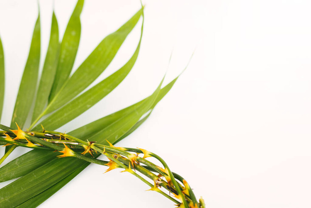 Palm leaves on white background ,Easter and palm Sunday concept - Photo, Image