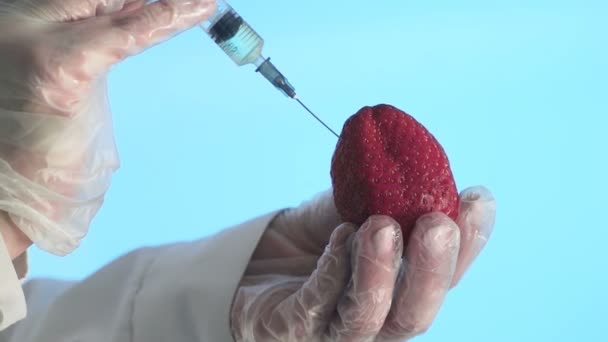 Wetenschapper injecteert aardbei met een spuit. Corona. Covid-19 - Video
