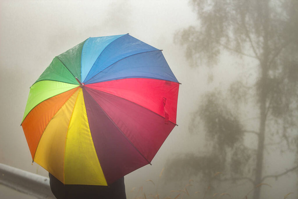 Mann mit Regenbogen-farbigem Regenschirm an nebligem Herbsttag - Foto, Bild