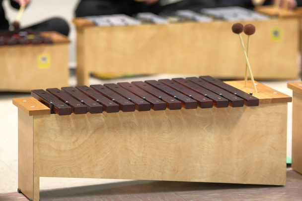 Diatonikus Xylophone által használt diákok az iskolában, hogy megtanulják a zene és a művészet. - Fotó, kép