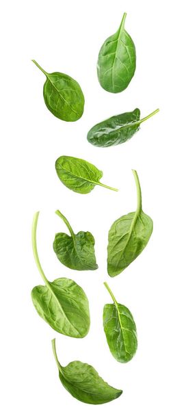 Set with fresh green spinach leaves falling on white background - Foto, Bild