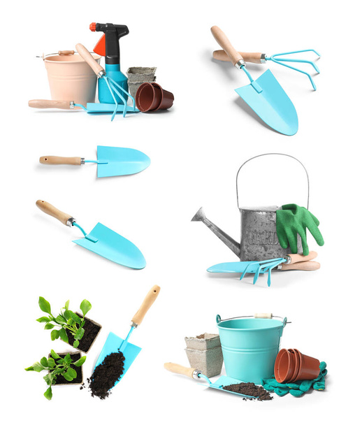 Set of gardening tools and vegetable seedlings on white background - Zdjęcie, obraz