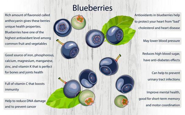 Blueberry Gesundheit Vorteile Infografiken auf Holz Hintergrund - Vektor, Bild