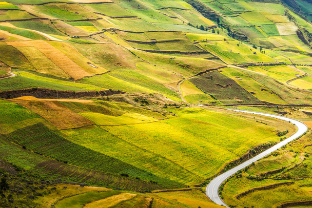 High Altitud Road In Ecuador Intersection Agricultural Landscape - 写真・画像