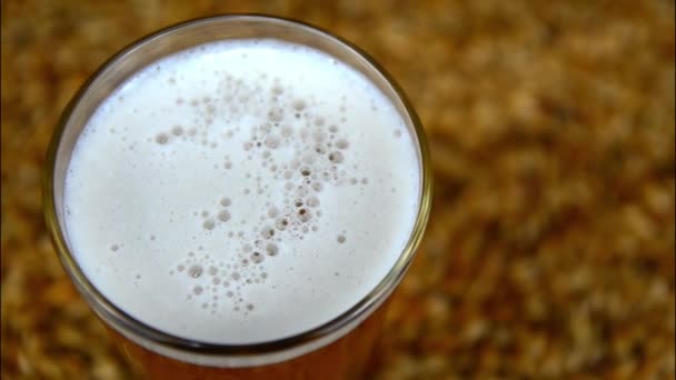 Пиво темного лайнера вливають у склянку на столі з солодовим зерном
 - Кадри, відео