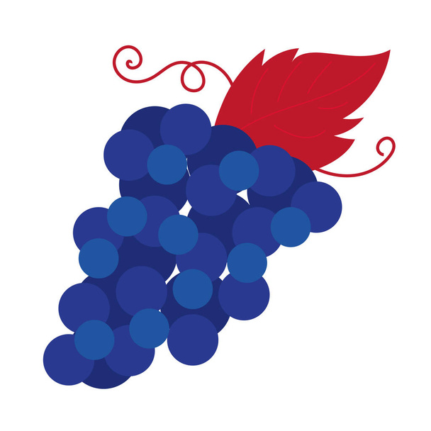 szőlő gyümölcs kézi rajz stílus ikon - Vektor, kép