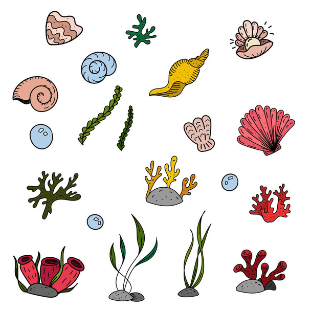 barevné vektorové prvky set, černá a bílá kresba mořského obyvatele, doodle zbarvení, roztomilé mořské řasy a korály - Vektor, obrázek