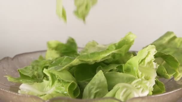 Friss salátalevelek lassú mozgása lehullik egy üvegtálba - Felvétel, videó
