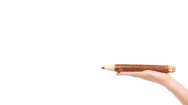 Hand with big wooden pencil, learning supply. Isolated on white background. Copy space, template. - 写真・画像