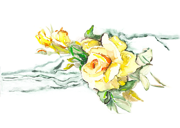 Rosa amarilla
 - Foto, imagen