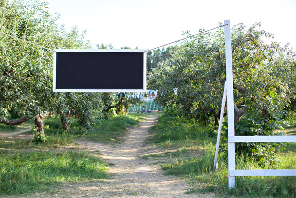 Blackboard with white frame hanging on tree branch in garden, copy space. Plate for text on rope. Blank black desk billboard. Nature park and empty chalkboard in summer day. Harvest. Apple trees.  - Photo, image