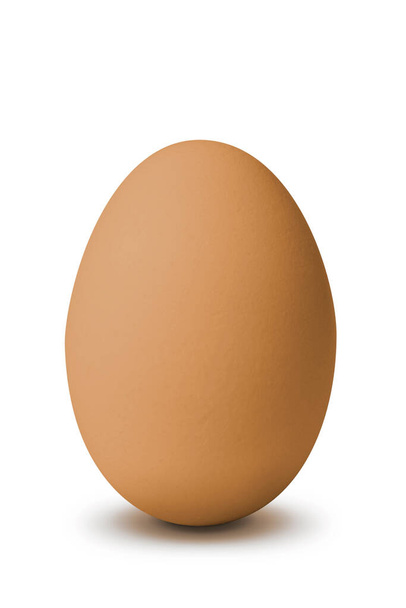 Vertical and front photo of brown egg on white background and with shadow - Photo, Image