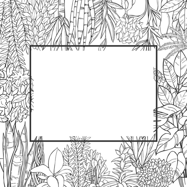 Vector background with hand drawn houseplants. Sketch  illustration. - Vetor, Imagem