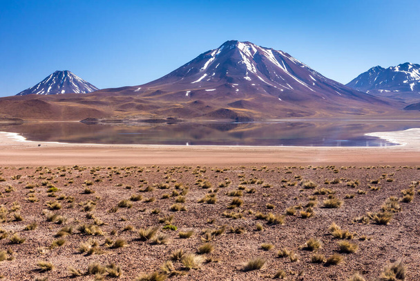 Lagunas Altiplanicas, Miscanti y Miniques, дивовижний вид на пустелю Атакама. Чилі, Південна Америка. - Фото, зображення