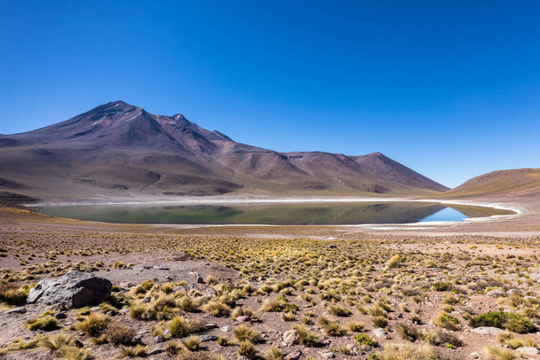 Lagunas Altiplanicas, Miscanti y Miniques, дивовижний вид на пустелю Атакама. Чилі, Південна Америка. - Фото, зображення