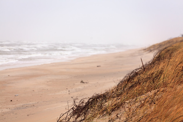 Драматическое побережье во время шторма
 - Фото, изображение