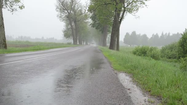 déšť vůz asfaltové silnici - Záběry, video