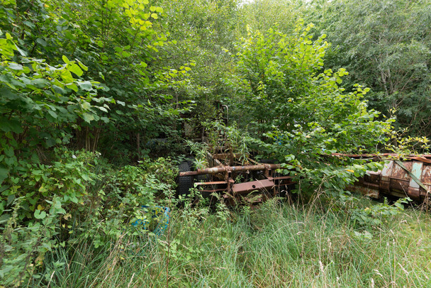 Μέρη ενός σκουριασμένου πλαισίου φορτηγού ορατού μέσω θάμνων, χλόης και δέντρων - Φωτογραφία, εικόνα