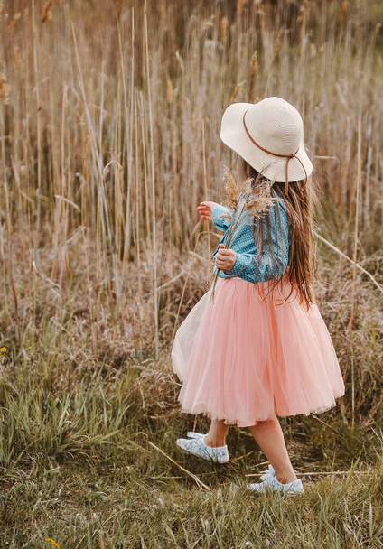 Smiling little girl posing alone in the dark meadow. - Φωτογραφία, εικόνα
