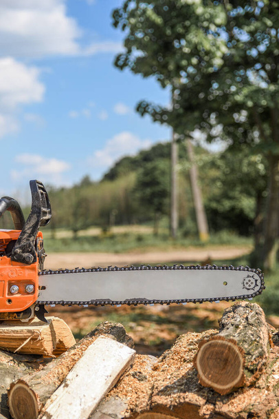 Chainsaw that stands on a heap of firewood in the yard on a background of firewood and trees cut by a chainsaw. - Photo, Image