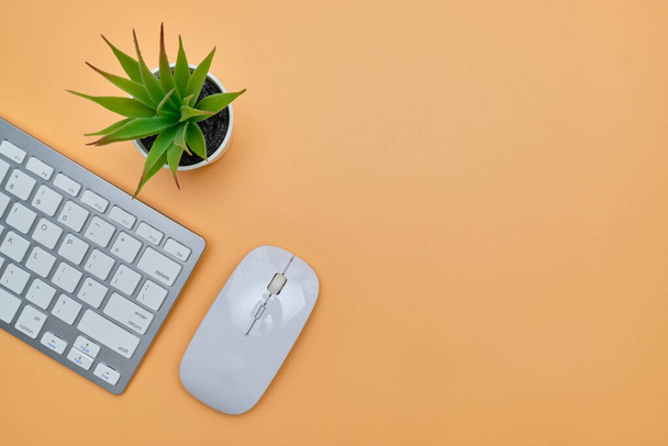 Draufsicht mit Tastatur und Maus auf orangefarbenem Hintergrund mit Kopierraum. Nahaufnahme. - Foto, Bild