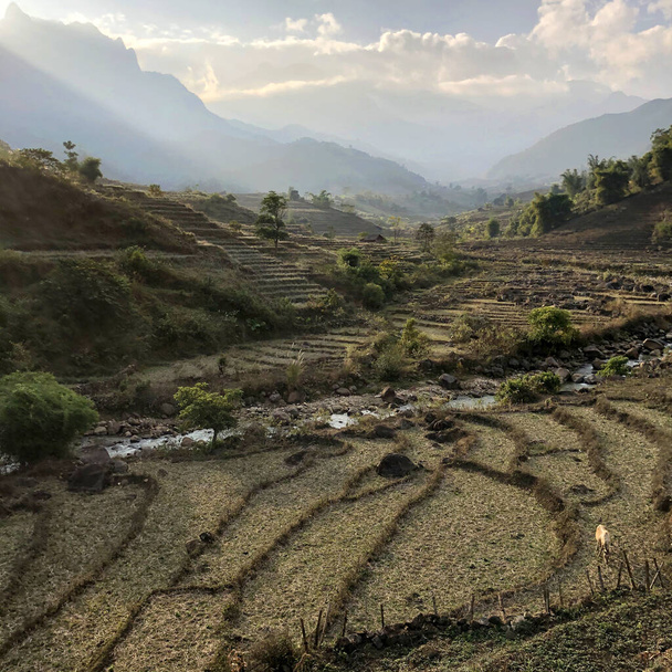 Пейзаж рисового поля в пасмурный день вокруг Sa Pa aera
 - Фото, изображение