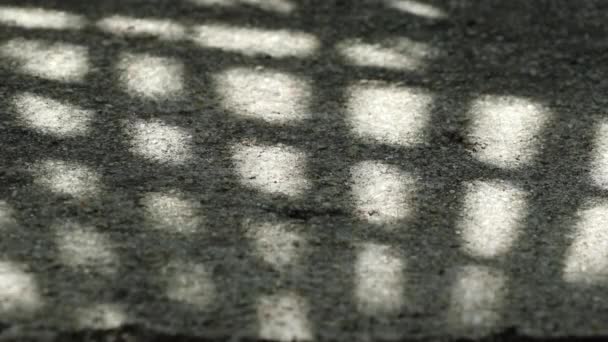 Абстрактна краса і геометричний візерунок у природі. Перевірена тінь китайського віялового пальмового листя прекрасно коливається на вивітреній підлозі з гравію. - Кадри, відео