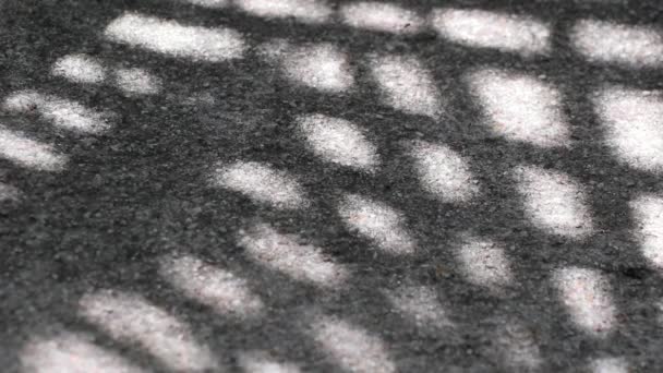 Abstrakte Schönheit und geometrische Muster in der Natur. Kariertes Muster Schatten der chinesischen Fächerpalme Blätter schwanken schön auf verwittertem Kies Betonboden - Filmmaterial, Video
