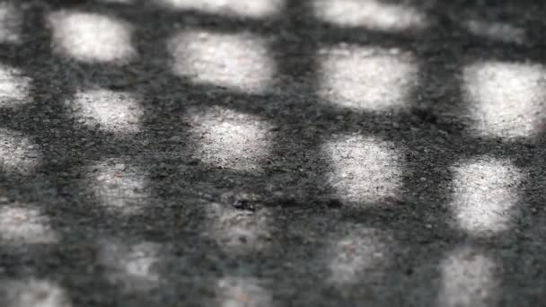 Abstrakte Schönheit und geometrische Muster in der Natur. Kariertes Muster Schatten der chinesischen Fächerpalme Blätter schwanken schön auf verwittertem Kies Betonboden - Filmmaterial, Video