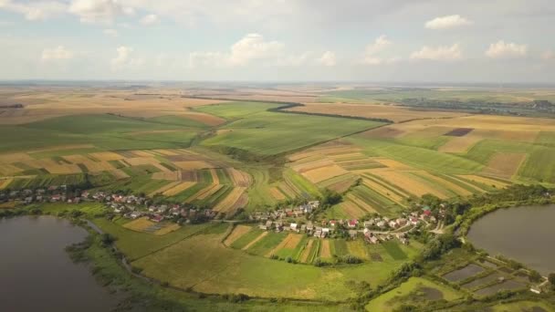 Uitzicht vanuit de lucht op een meer omringd door gele landbouwvelden en kleine dorpshuizen in het landelijke herfstgebied. - Video