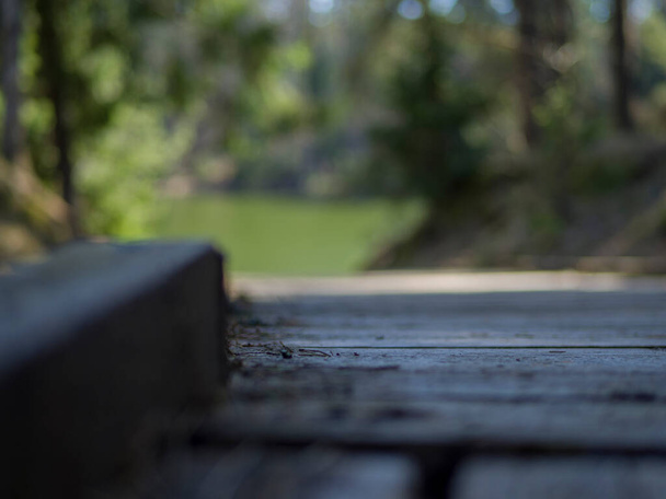 selective focus. Empty wooden pier with green lake in the background  - Photo, Image