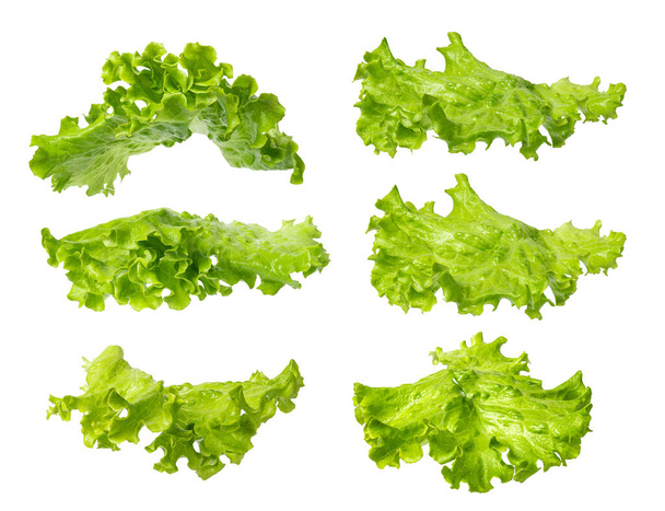 салат салат изолирован на белом фоне - Фото, изображение